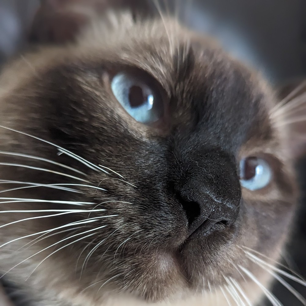 Meet your Posher, Posh